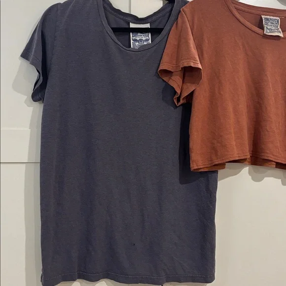 TWO Jungmaven Basic Diesel Gray T-Shirt & Lorel Burnt
Orange Cropped Tee, M - Picture 3 of 5